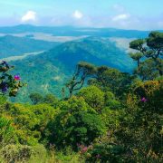 Exploring Paradise on Foot: Unveiling Sri Lanka’s Best Hiking Routes