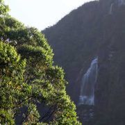 Top Tourist Attractions Need To Visit Near Nuwara Eliya