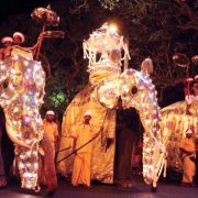 Insider Tips for Attending Kandy Esala Perahera like a Local