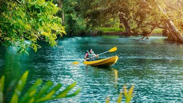 Unveil the wild allure of Wilpattu National Park – Sri Lanka