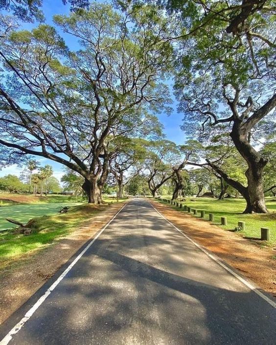 Journey Through Time: Exploring the Sacred City of Anuradhapura