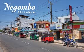 Discover the Vibrant Charms of Negombo, Sri Lanka: A Traveler’s Oasis