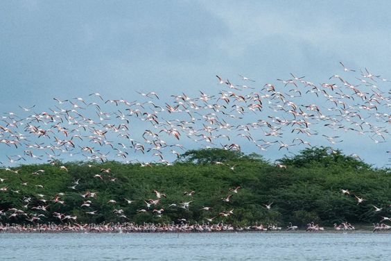 Unveiling the Mystique of Mannar, Sri Lanka: A Journey Into Timeless Beauty