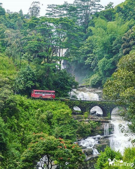 Discovering in around Nawalapitiya: A Journey Through Nature’s Paradise