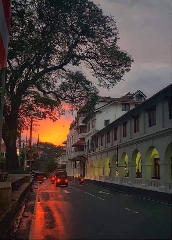 Exploring the Heart of Sri Lanka: A 5-Day Itinerary in Kandy