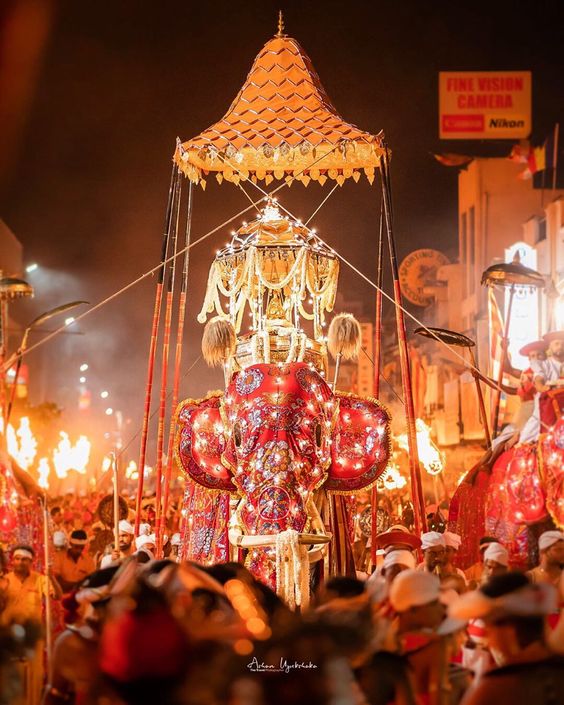 The 2024 Kandy Esala Perahera: A Symphony of Culture and Devotion