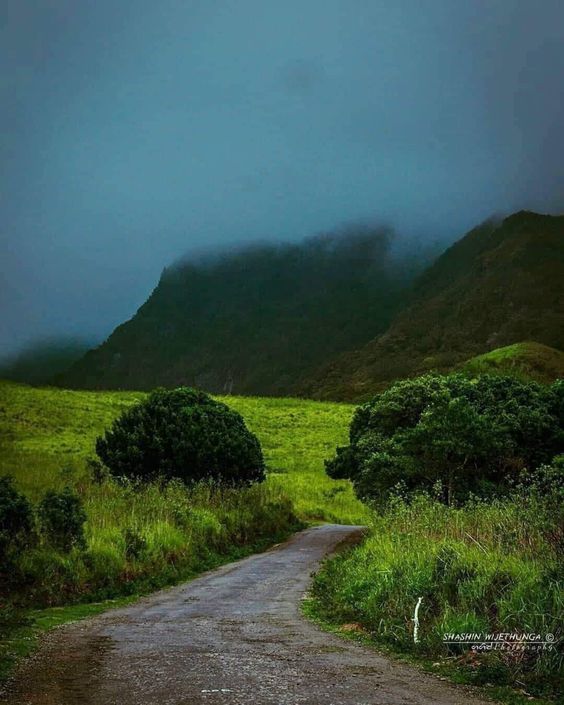 Exploring Riverston Mathele: A Hidden Gem in Sri Lanka’s Knuckles Mountain Range