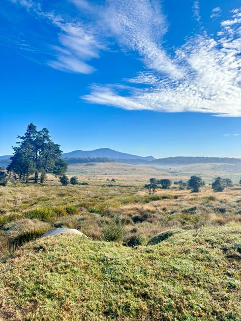 Discover the Hidden Gem of Sri Lanka: Horton Plains